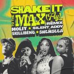 Shake It To The Max (FLY) [Remix]