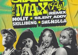 Shake It To The Max (FLY) [Remix]