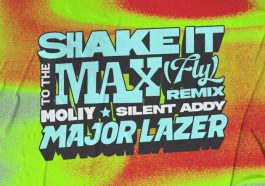 Shake It To The Max (FLY) [Major Lazer Remix]